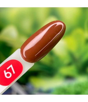 База French Rubber Base Roks 12 ml №67 TPO free